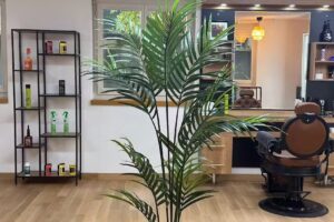 Salon de coiffure Ali Bern