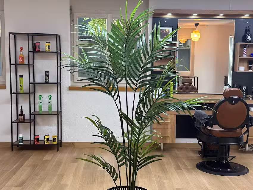 Salon de coiffure Ali Bern