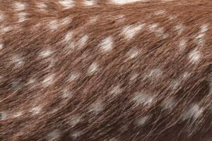 salon de bien-être à l&rsquo;aloès