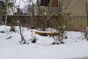 L&rsquo;art de la beauté