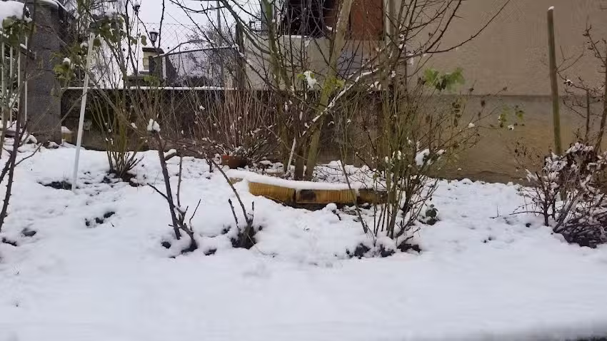 L&rsquo;art de la beauté