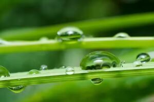 C by C Coiffure BIO – Châtel-St-Denis