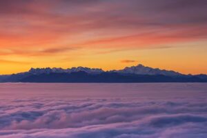 Cabinet Your Dream Body