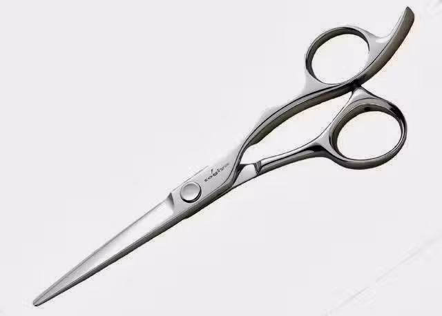 Ciseaux JaponaisTogiya – akihiro