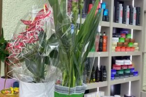 Salone di parrucchiere Balgrist