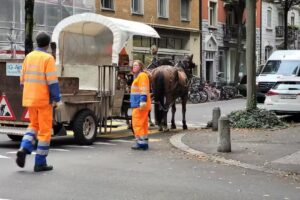 Coiffeur Haarmonie Fabienne Müller