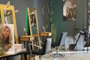 Coiffeur Hair Artist