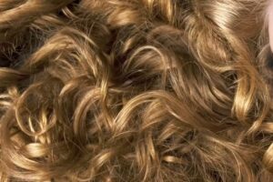 Coiffeur Paradiso GmbH