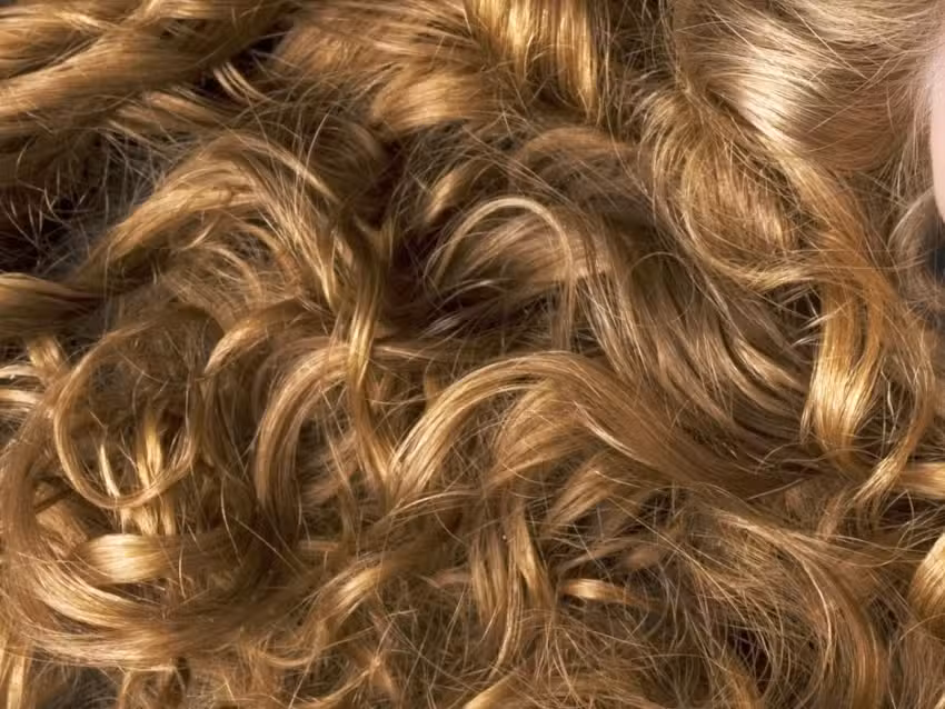 Coiffeur Paradiso GmbH