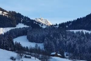 Coiffeurs – Spécialisés dans les cheveux