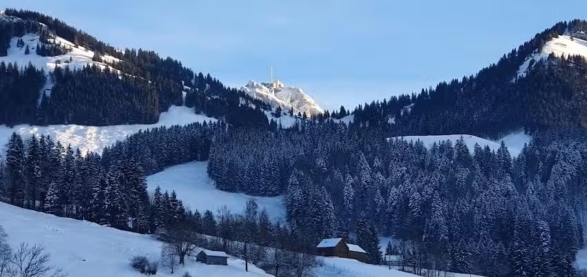 Coiffeurs – Spécialisés dans les cheveux