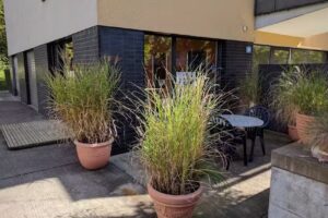 Coiffeursalon Carmen