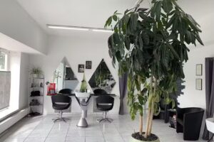 Coiffeursalon Heidi GmbH