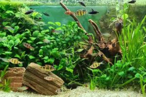 Salon de coiffure Smile Hair