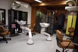 Coiffure Dreamhair-Brigitte