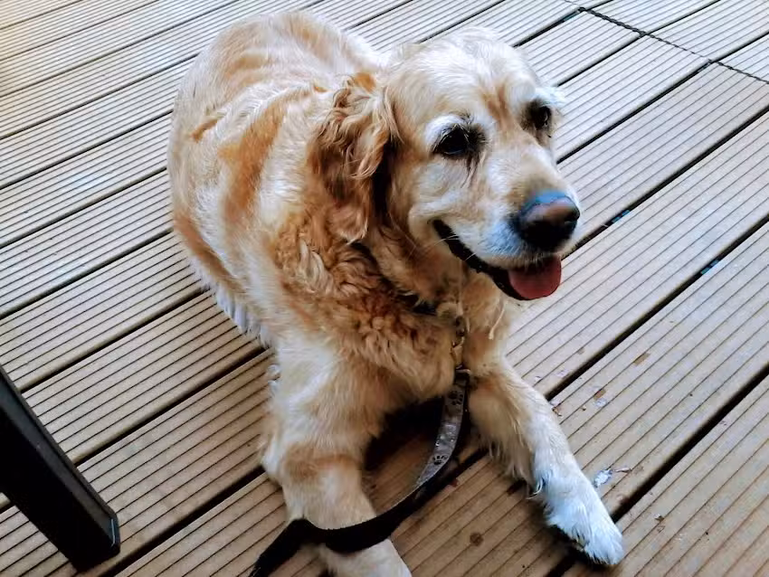 Salone di Parrucchiere Gianfranco