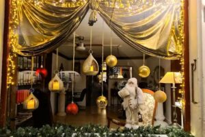 Acconciatura Isabelle