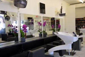 Coiffure Madame Roman Knecht