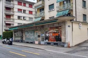 Coiffure Reflets Orange