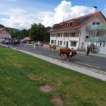 Créa’tifs Coiffure