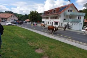 Créa’tifs Coiffure