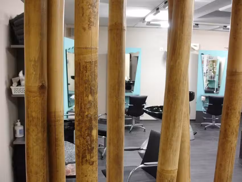 CAPELLI FORTUNATI, PROPRIETARIA: SANDRA FREIBURGHAUS