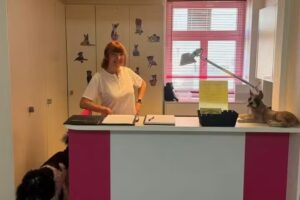 Hundesalon am See Salon Wuschelzauber