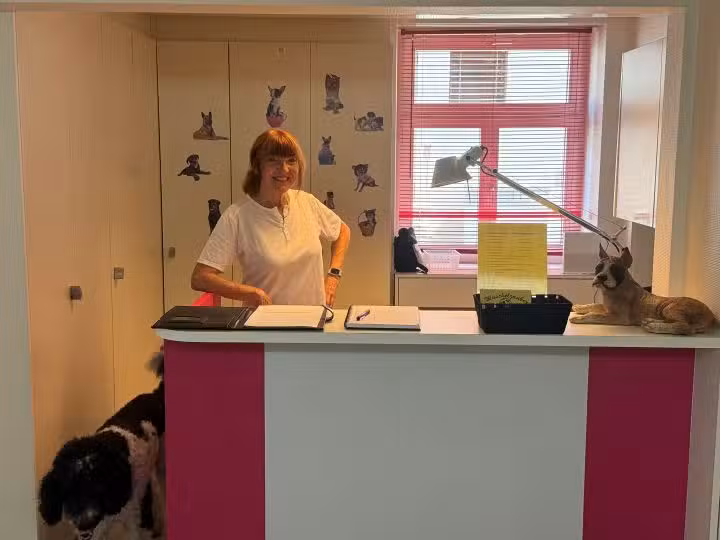 Salon de toilettage pour chiens au bord du lac, Salon Wuschelzauber