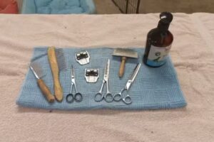 Salone di toelettatura per cani in armonia