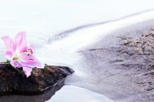 Salon de beauté Brigitte