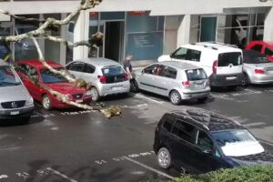 Le Comptoir de l’Art Sàrl