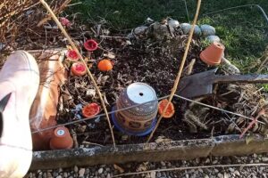 Leticia´s Hair Lounge