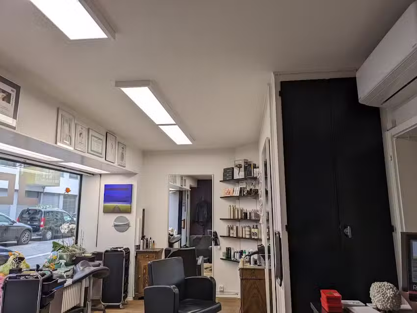 Linea Daniele Coiffure