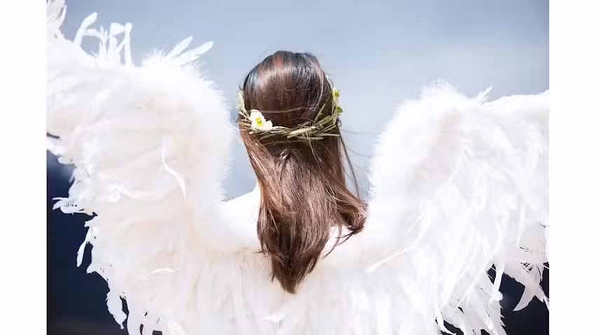 Nicole Beck, Nicole’s Hair-Shop