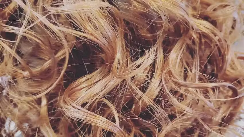 Perla Beauty Parrucchiere Naturale e Specialista in Ricci