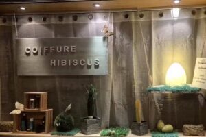 Salon de coiffure Hibiscus