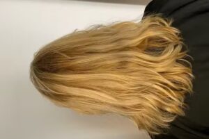 Salon de coiffure Llongueras