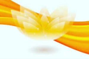 Shine Coiffure – Beauty Center