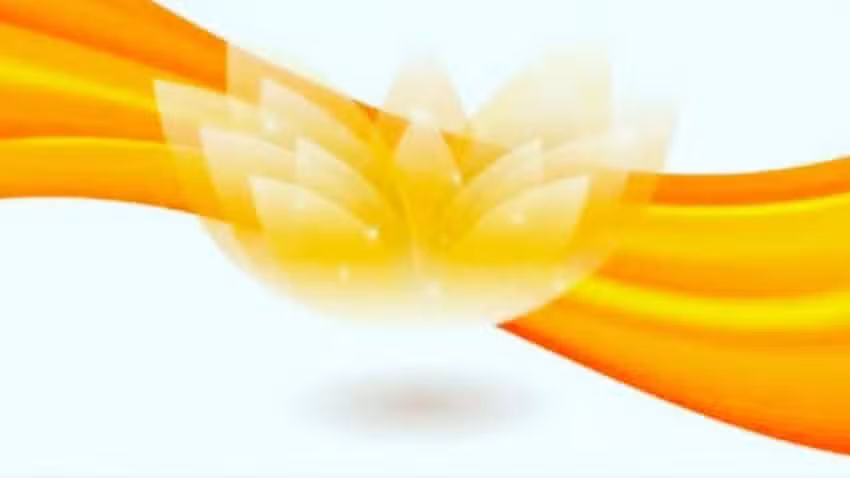 Shine Coiffure – Centro estetico