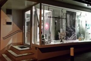 Susanna Burger Hairworks & Style