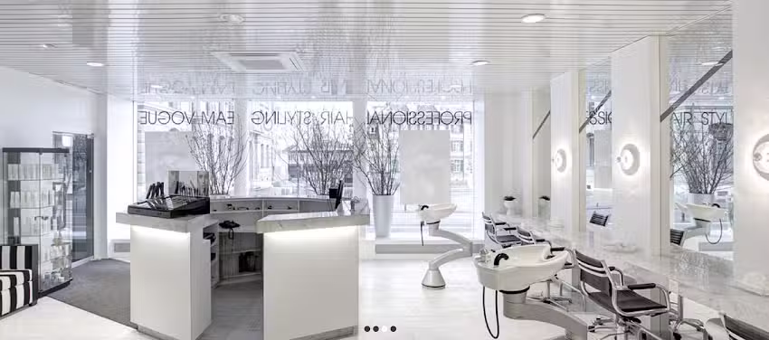 Vogue Professional Hairstyling