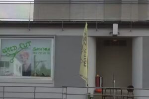 Sandra dal taglio selvaggio